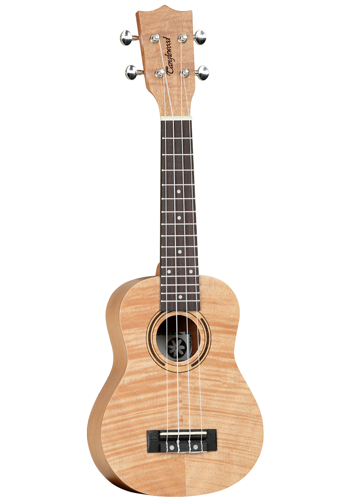 TWT 5 – Tanglewood Guitars